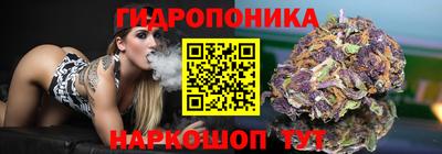 apvp Можга